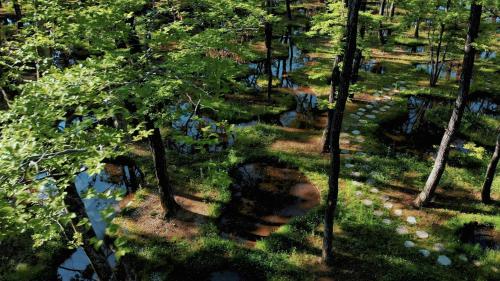 那須 無垢の音, Nasu (fotografie 11)