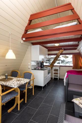 Hallingparken in Gol