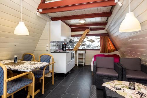 Hallingparken in Gol