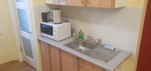 Small apartment in Riga center, Riga (fotografie 10)