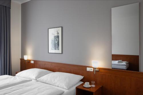 Double or Twin Room room in Hotel Beránek