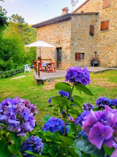 Rustico "il Casale del Mulino" - Pieve Pontenano