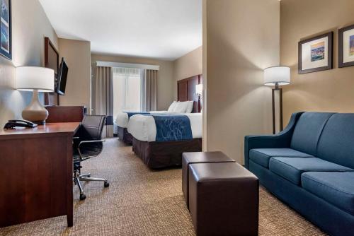 Comfort Suites Pell City I-20 exit 158 - image 12