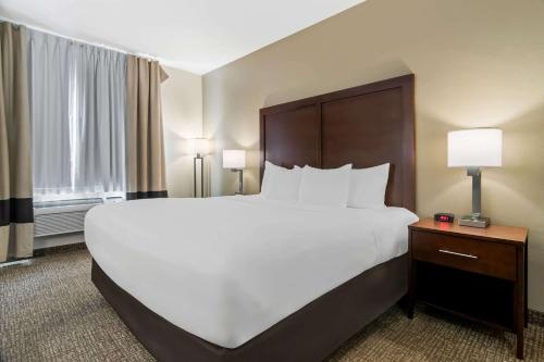 1 king bed