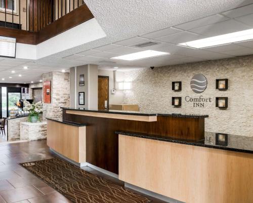 Comfort Inn Metro Airport in Romulus, USA