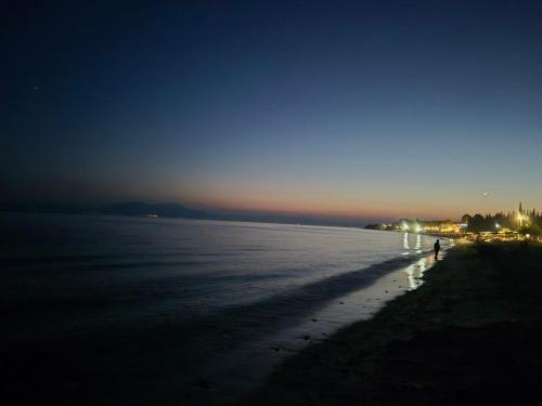 Yota's House Yota's House