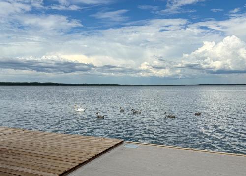 View, Grand Holm Marina Ujuvmajad in Haapsalu