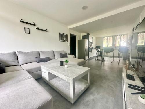 Le Monochrome, spacieux et adapté aux familles - Location saisonnière - Limoges