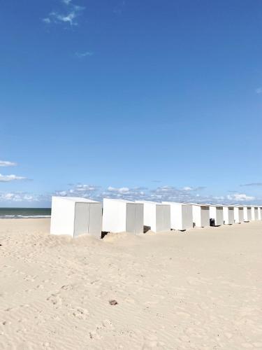 Julia's Surf Shack, Sint-Idesbald (foto 7)