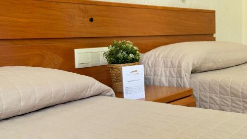 Hotel Safari - image 6