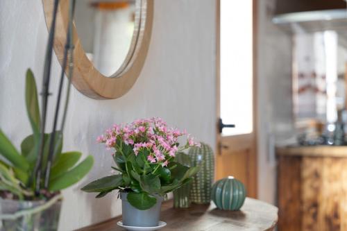 El Rincón de Yeico El Rincón de Yeico