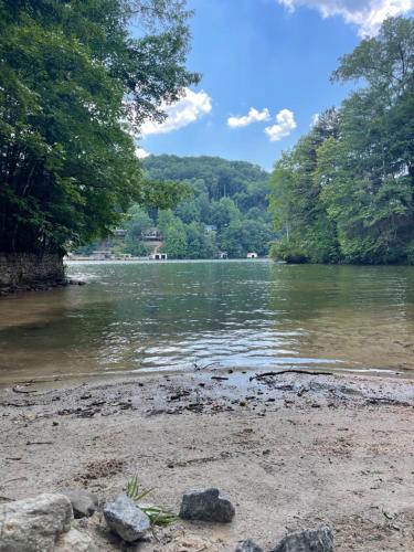 Nees Nest in Lake Lure, USA