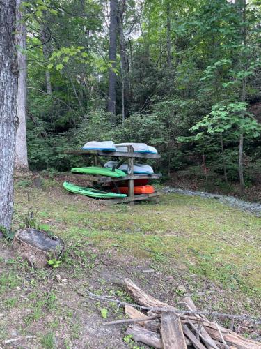 Nees Nest in Lake Lure, USA