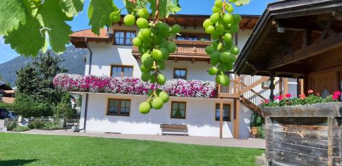 Ferienwohnungen Krismer in Arzl im Pitztal