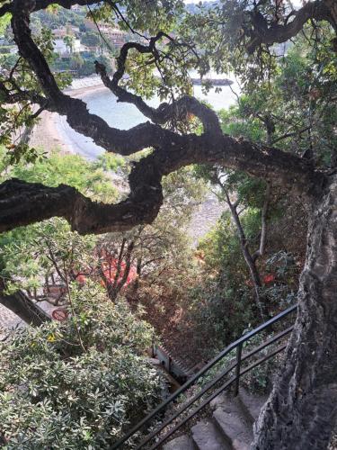 Villa de prestige en bord de mer dans la baie de Cannes