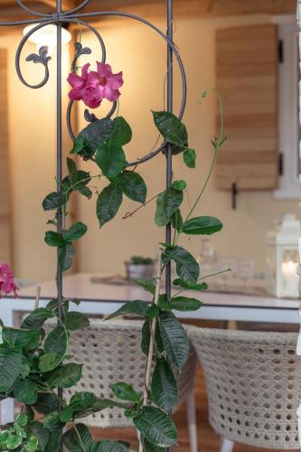 Camping Homes Mon Perin - Accommodation - Bale