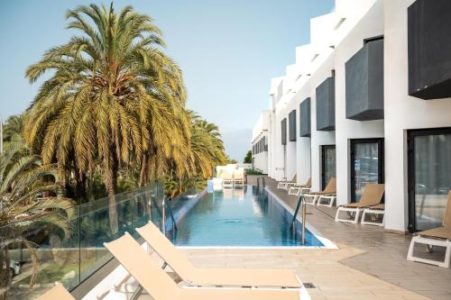 Swimmingpool, BARRANCO Chic! Apartments by ALEGRIA in Teneriffa