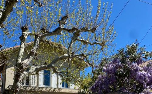 Maison avec Jardin Marseille Pointe Rouge - Location saisonnière - Marseille