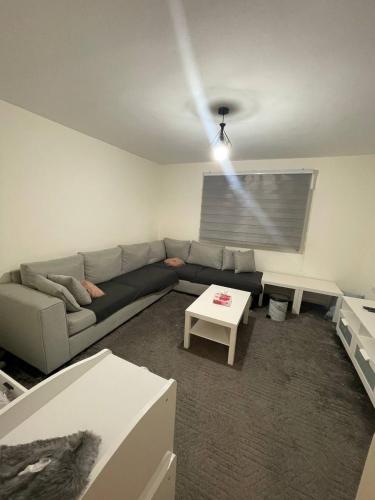 Cozy 1 bedroom apartment - image 9