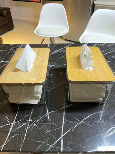 Regalia Residence Home stay - image 10