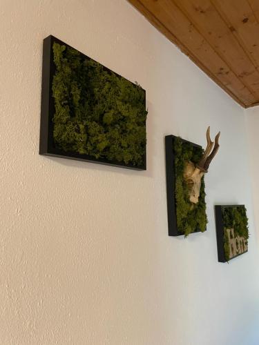 Létesítmények, Ferienwohnung MaLi in Arrach