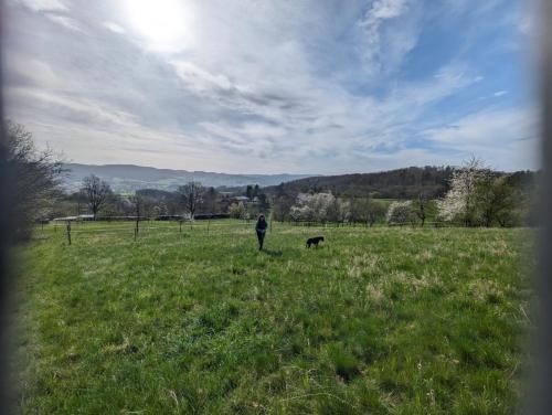 A környék, Prinz in Weinheim