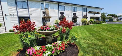 Ambassador Inn and Suites - image 3