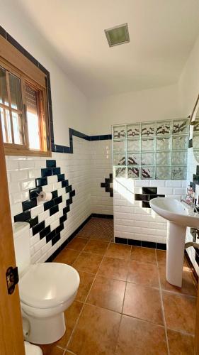 Vista al faro Vista al faro