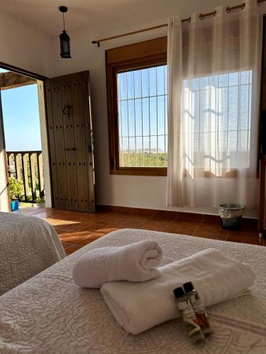 Vista al faro Vista al faro