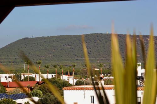 Vista al faro Vista al faro