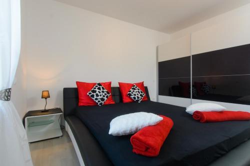Apartment Cambi