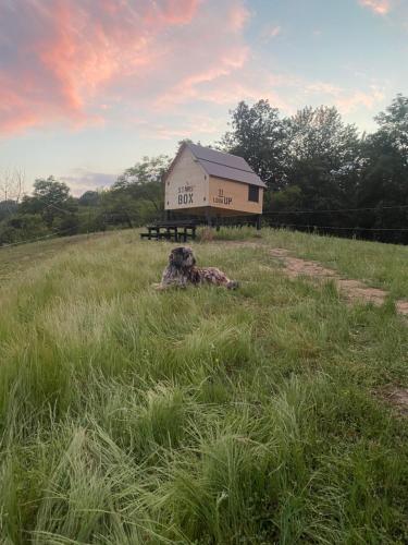 Stars box gîte à louer Rivoira