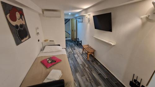 Tribunali apartments