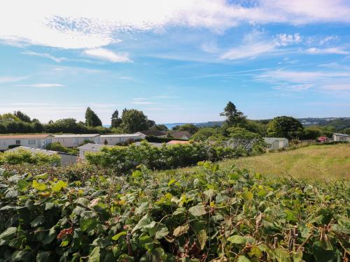 Oakland Cottage - image 13