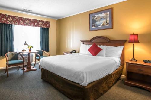 1 queen bed