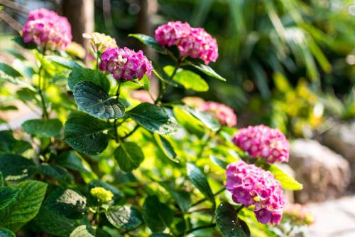 Hotel San Giorgio - image 14