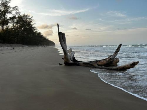 Beautiful Beach House with Private Pool in Tuxpan - Colibrí in La Laja, Mexico