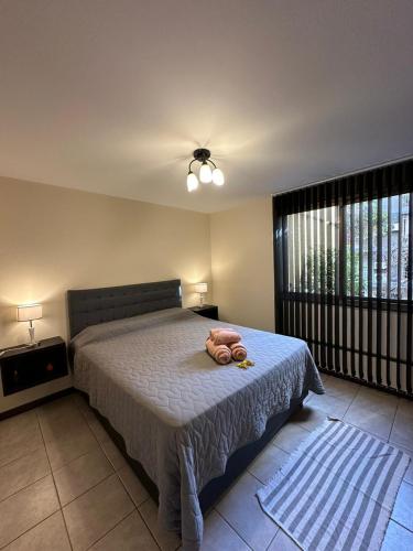 One-Bedroom Apartment image 10