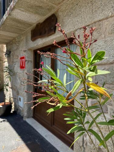 Eingang, A Eira da Laxe in Cerdedo