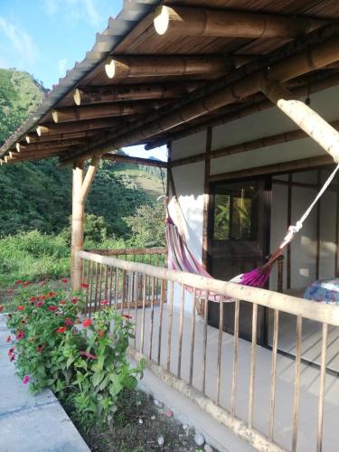 Garden, Cabana Nido de Amazilia in Manizales