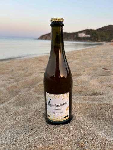 Villaluciana Solanas 3