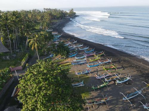 Medewi Hady Surf Camp near Bunut Bolong