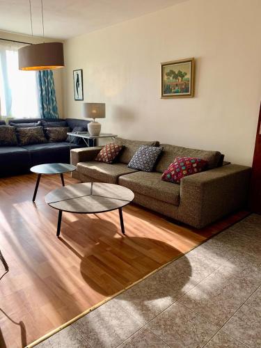 1 double bed, 2 sofa beds