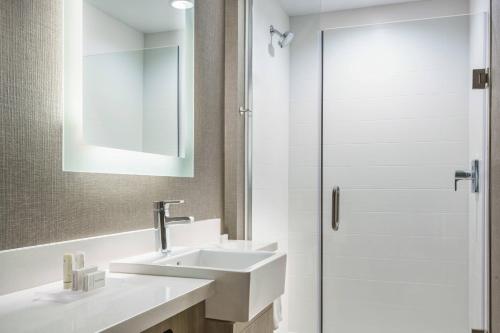 SpringHill Suites by Marriott Belmont Redwood Shores - image 7