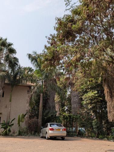 The Park Lounge Hotel