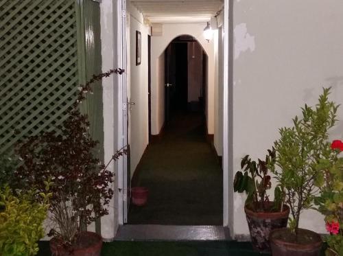 Hotel Uruguay - image 2