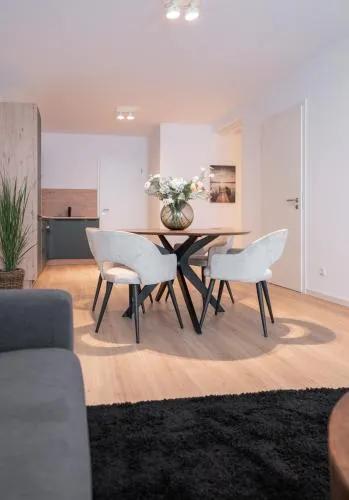 SCHÖNTALHAUS City Apartments in Aschaffenburg, Deutschland