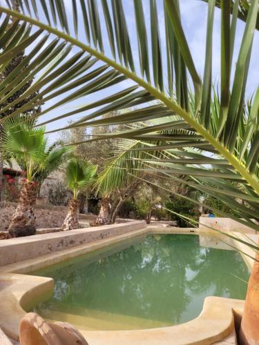 Peldbaseins, les FRANGINESauMAROC in Bou Mkila