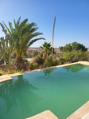 Peldbaseins, les FRANGINESauMAROC in Bou Mkila