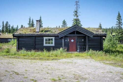 Trysilfjellet Nord 356 C in Trysil